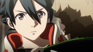 cap (113)