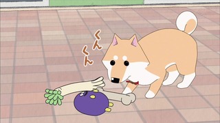 muco (11)