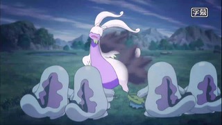 xy (6)