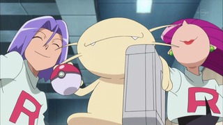 xy (41)