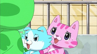 cap (113)