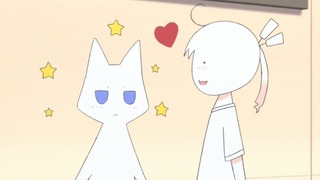 cap (27)