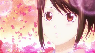 cap (14)