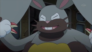 xy (57)