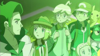 xy (95)