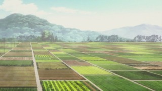 cap (29)