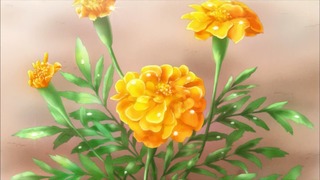 554