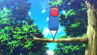 cap (217)