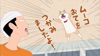 muco (31)