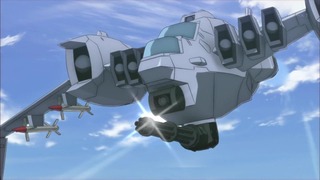 cap (21)