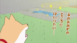 muco (3)