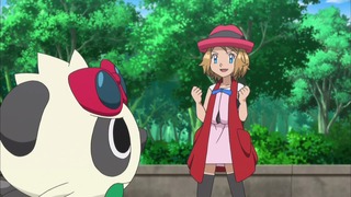 xy (10)