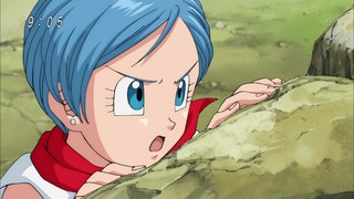 cap (15)