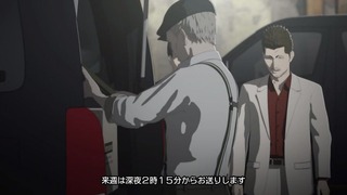 cap (219)