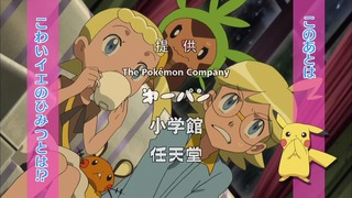 xy (11)