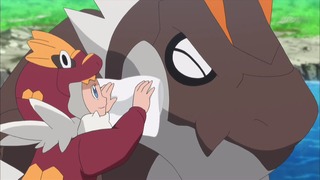 xy (46)