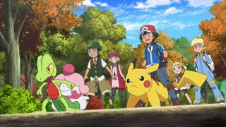 xy (80)