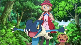 xy (87)