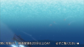 cap (212)