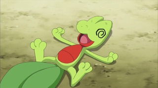 xy (61)