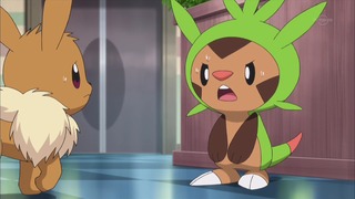 xy (100)
