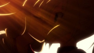 cap (228)