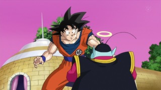 244