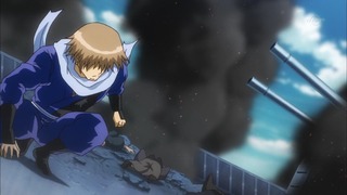 cap (244)