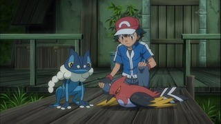 xy (15)