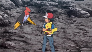 xy (119)