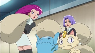 xy (55)