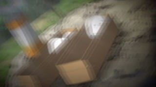 cap (65)