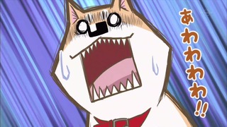 muco (24)