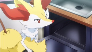 xy (192)