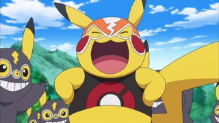 xy (363)