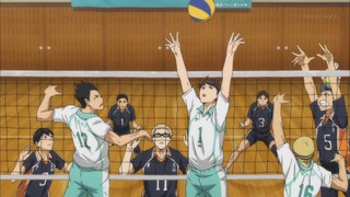 cap (256)