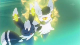 xy (35)