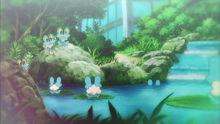 xy (99)