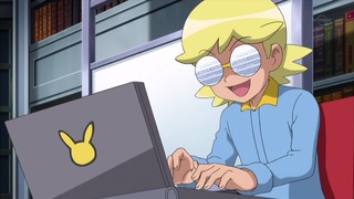 xy (223)