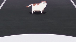 cap (56)