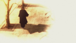 cap (133)