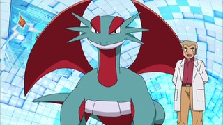xy (161)
