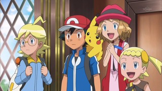 xy (17)