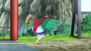 xy (91)