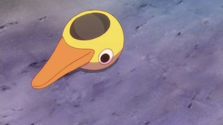 rin-17