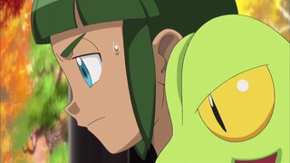 poke (39)