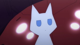 cap (138)