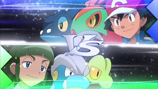 xy (43)