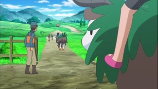 xy53 (108)