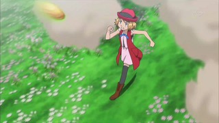 xy (160)